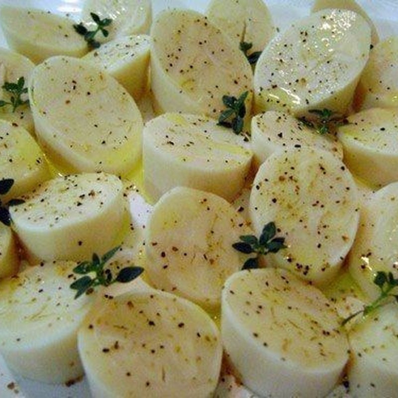 PALMITO M
